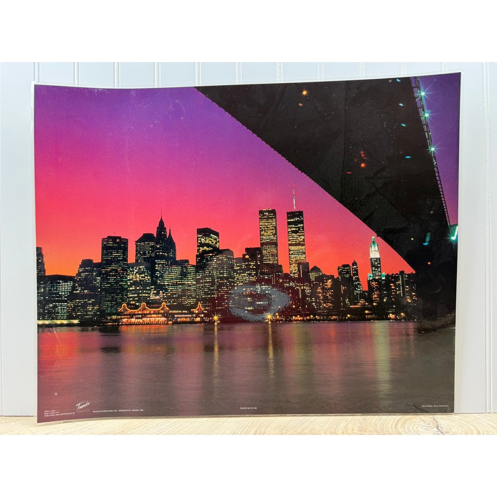Trends International New York City Twin Towers Skyline Poster Print 16x20 LP2550
